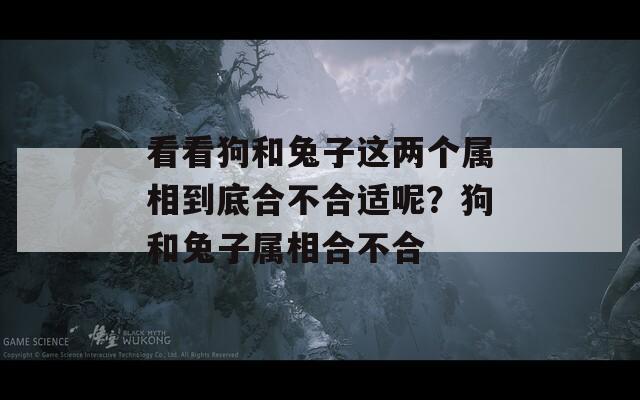 看看狗和兔子這兩個屬相到底合不合適呢？狗和兔子屬相合不合  第1張