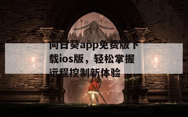 向日葵app免費(fèi)版下載ios版，輕松掌握遠(yuǎn)程控制新體驗(yàn)