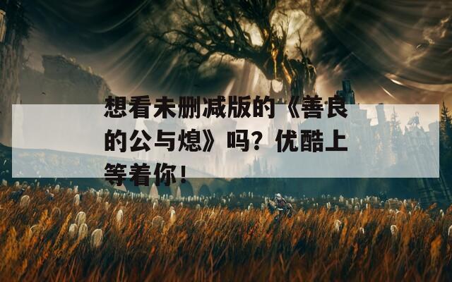 想看未刪減版的《善良的公與熄》嗎？?jī)?yōu)酷上等著你！