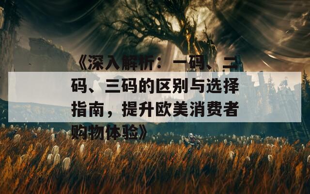 《深入解析：一碼、二碼、三碼的區(qū)別與選擇指南，提升歐美消費者購物體驗》