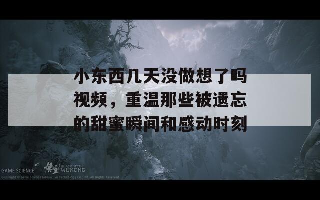 小東西幾天沒做想了嗎視頻，重溫那些被遺忘的甜蜜瞬間和感動時刻