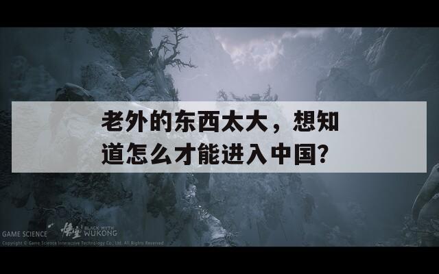 老外的東西太大，想知道怎么才能進(jìn)入中國？