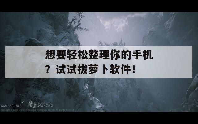 想要輕松整理你的手機？試試拔蘿卜軟件！